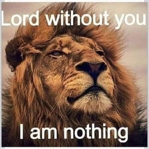 Meet your Posher, Sonya o.